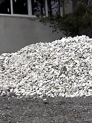 15 pictures - A Hero