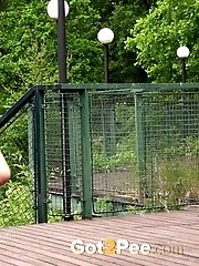 15 pictures - Netting