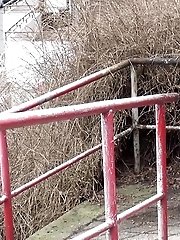 15 pictures - Black haired girl pisses on a public path
