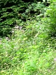 15 pictures - Toned brunette takes off her shorts to piss outside