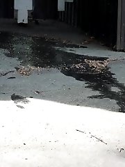 15 pictures - Pretty brunette makes a pissy puddle outside