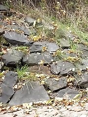 15 pictures - Nervous girl pisses outside on stones
