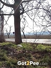 15 pictures - Brunette girl is desperate to piss near a road