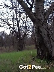 15 pictures - Grass Watering