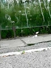 15 pictures - Reflection