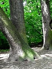 15 pictures - 300 Yeah!