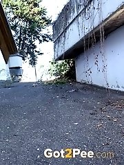 15 pictures - Middle of the Road