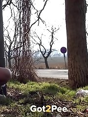 15 pictures - Brunette girl is desperate to piss near a road