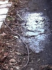 15 pictures - Brunette girl squats near a car to piss outside