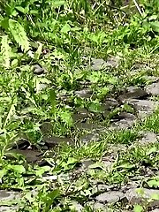 15 pictures - Blonde girl has a powerful piss outside