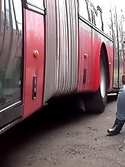 15 pictures - Between Buses