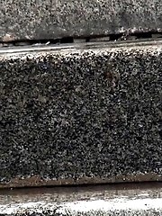 15 pictures - Run Run