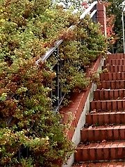 15 pictures - Brick Steps