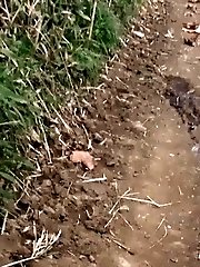 15 pictures - Stunning blonde Foxies pisses outside on track