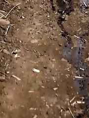 15 pictures - Stunning blonde Foxies pisses outside on track