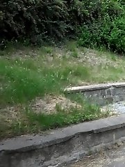 15 pictures - Pee Stop