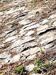 15 pictures - Niagara