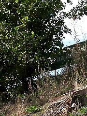 15 pictures - Niagara