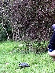 15 pictures - Cold And Warm