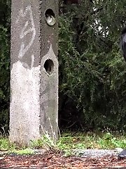 15 pictures - Pink and Black