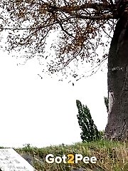 15 pictures - Windy Steps
