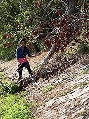 15 pictures - Stunning dark haired girl pees on the grass