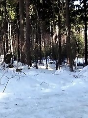 15 pictures - Dark haired babe pisses in the snow outside