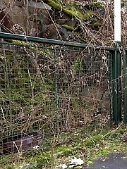 15 pictures - Brunette babe in glasses pisses on the ground