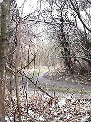 15 pictures - Pretty blonde sprays her pee like a sprinkler