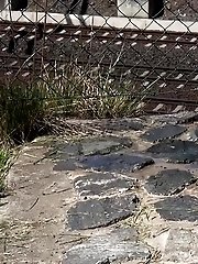15 pictures - Outdoor pissing for pretty dark haired babe