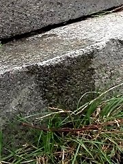 15 pictures - Full bladder babe in denim shorts makes a puddle