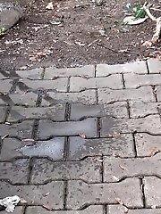 15 pictures - Pretty redhead is caught twice pissing in public