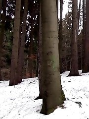 15 pictures - Ripped Pantyhose