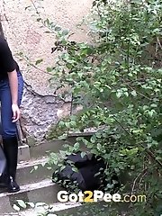 15 pictures - Back Garden