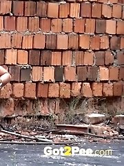 15 pictures - Brick Wall