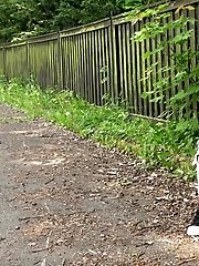 15 pictures - Peeing on Mud