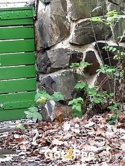 15 pictures - Sexy girl squats on a path and pisses outside