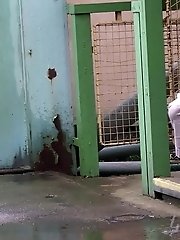 15 pictures - Compilation of sexy pissing european teens