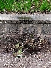 15 pictures - Outdoor pissing on a wall leaves a big puddle