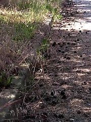 15 pictures - Relieved Redhead