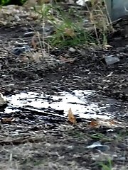 15 pictures - Waterproof Boots