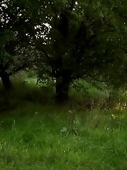 15 pictures - A Pond