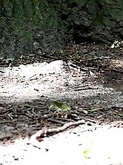 15 pictures - 300 Yeah!