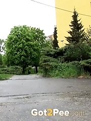 15 pictures - Phonebox