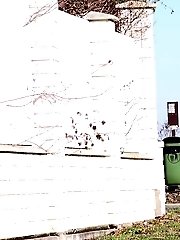 15 pictures - Gorgeous redhead sprays her piss on a driveway