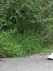 15 pictures - Cute European squatting to pee on a path