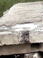 15 pictures - Hot blonde pisses onto a concrete slab