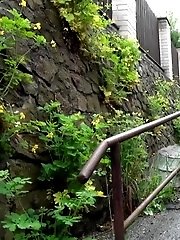 15 pictures - Never-ending Steps