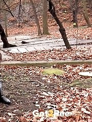 15 pictures - On the Dirt