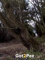 15 pictures - Branches